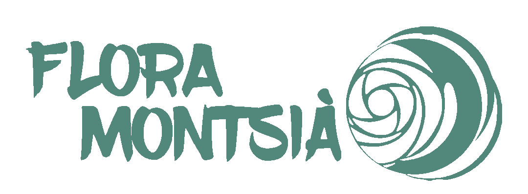 Logotip combinat de Flora Montsià amb text i iconografia d'una flor verda transmetent frescor i vincle amb la terra, qualitats que caracteritzen la marca.