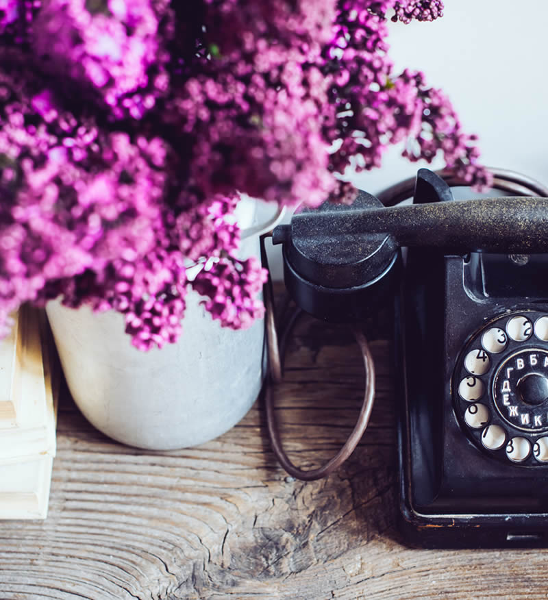 Un telèfon antic de disc negre al costat d'unes flors liles en un test gris, simbolitzen el contacte amb la nostra floristeria.