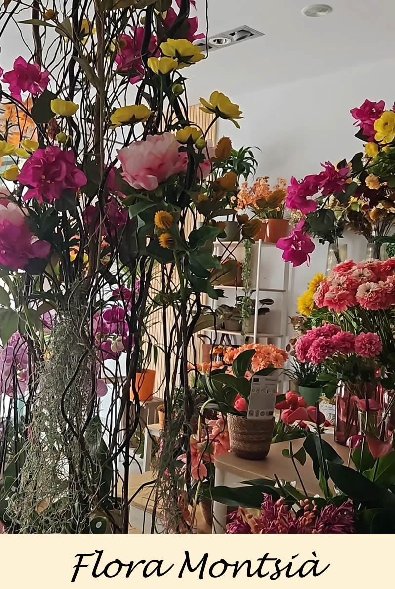 Nova col·lecció floral que destaca per l'explosió de colors vibrants, creant rams i composicions que no només embelleixen l'entorn, sinó que també evoquen una sensació d'energia renovada.